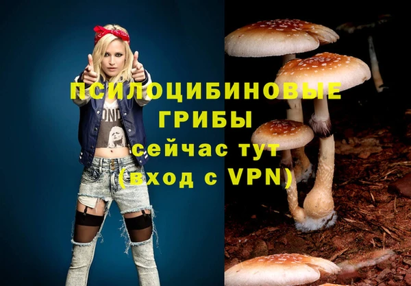 мяу мяу мука Новозыбков