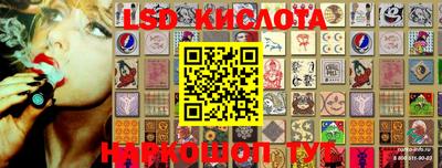 крисы Чебоксары