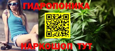 крисы Чебоксары