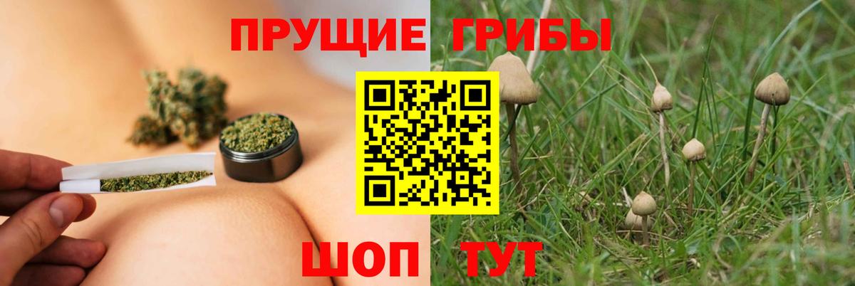 Усть-Лабинск  Галлюциногенные грибы мицелий  Вход с VPN 